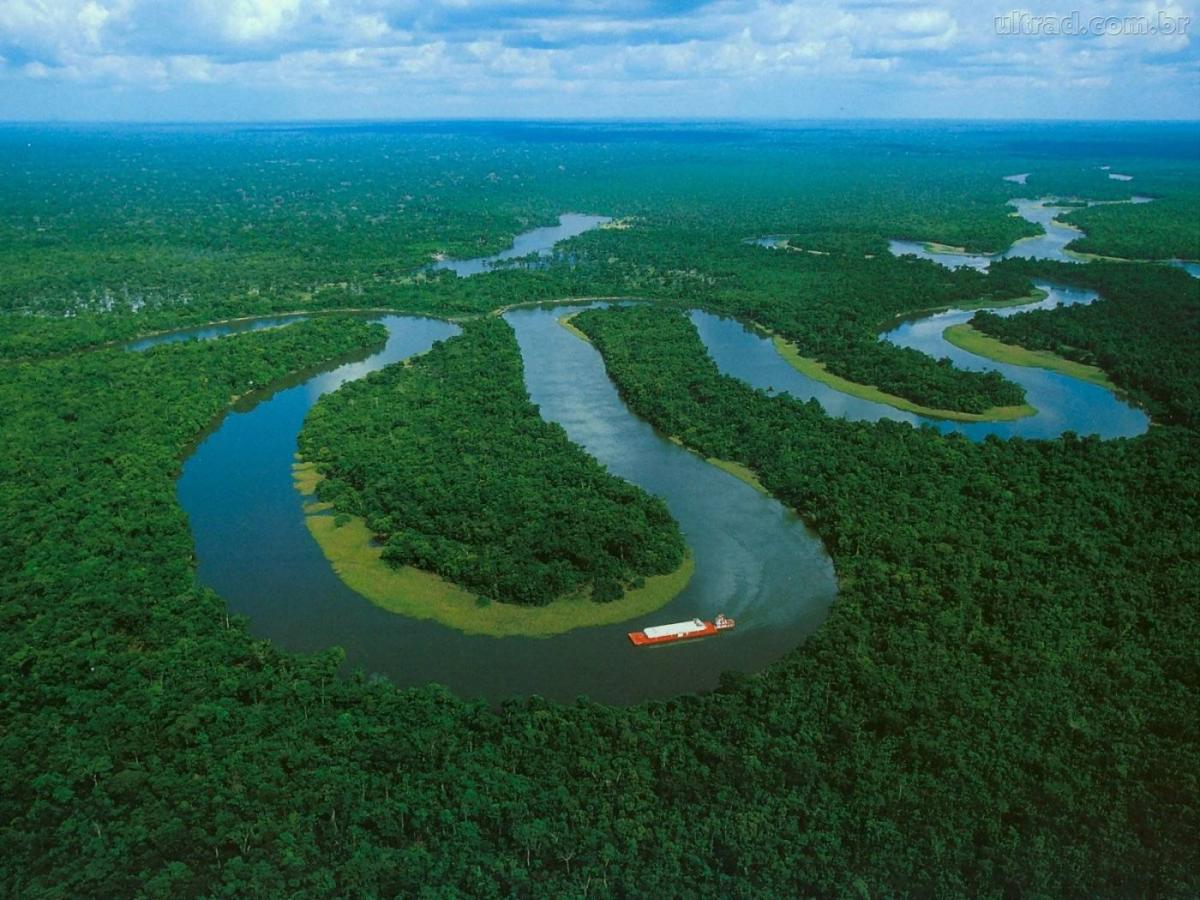 Fuente: Ambientum.com. Imagen del Río Amazonas y sus meandros
