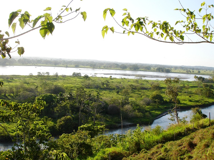 The Cauca river, Colombia. Photo by corazon de melon/Wikimedia Commons