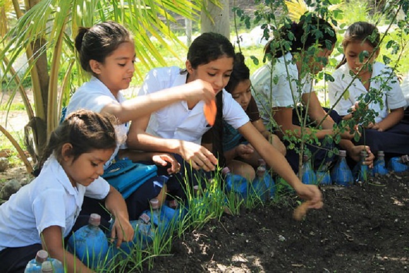 Un grupo de alumnas de la escuela República de Venezuela, en la aldea lenca de Coloaca, en el occidente de Honduras, en el huerto pedagógico donde cultivan y aprenden a la vez sobre la importancia de la alimentación nutritiva y saludable. Crédito: Thelma Mejía/IPS