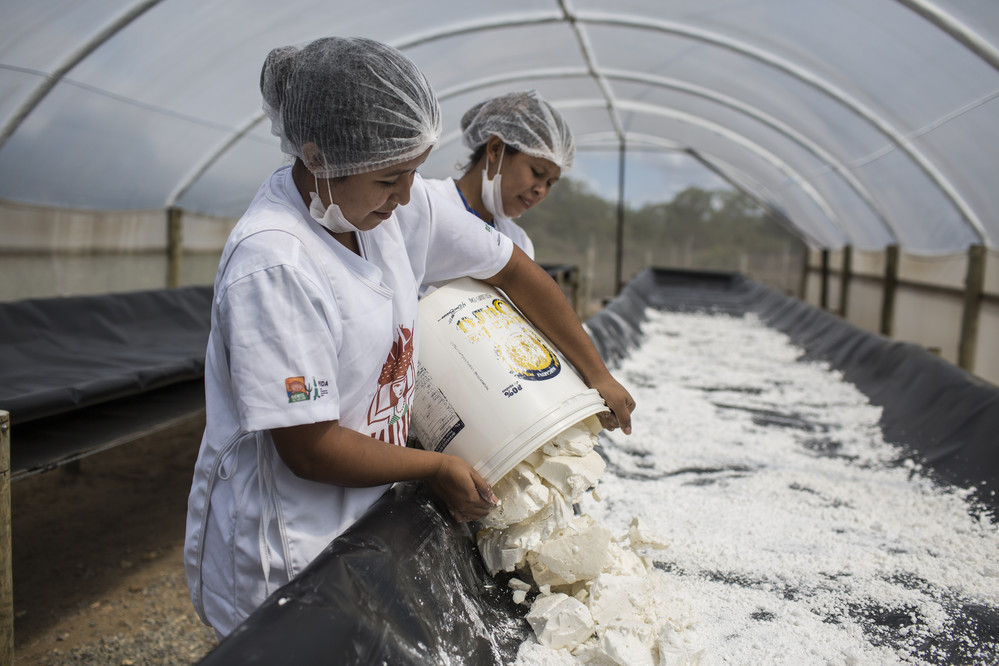 Thanks to investment and training from IFAD, the Kirirí indigenous community of Bahia, Brazil have increased their production capacity for traditional crops. Now Adriana Pantaleón dos Santos, a young Kirirí girl is able to save money to fulfil her dream of going to university in the state capital. ©IFAD/Lianne Milton/Panos