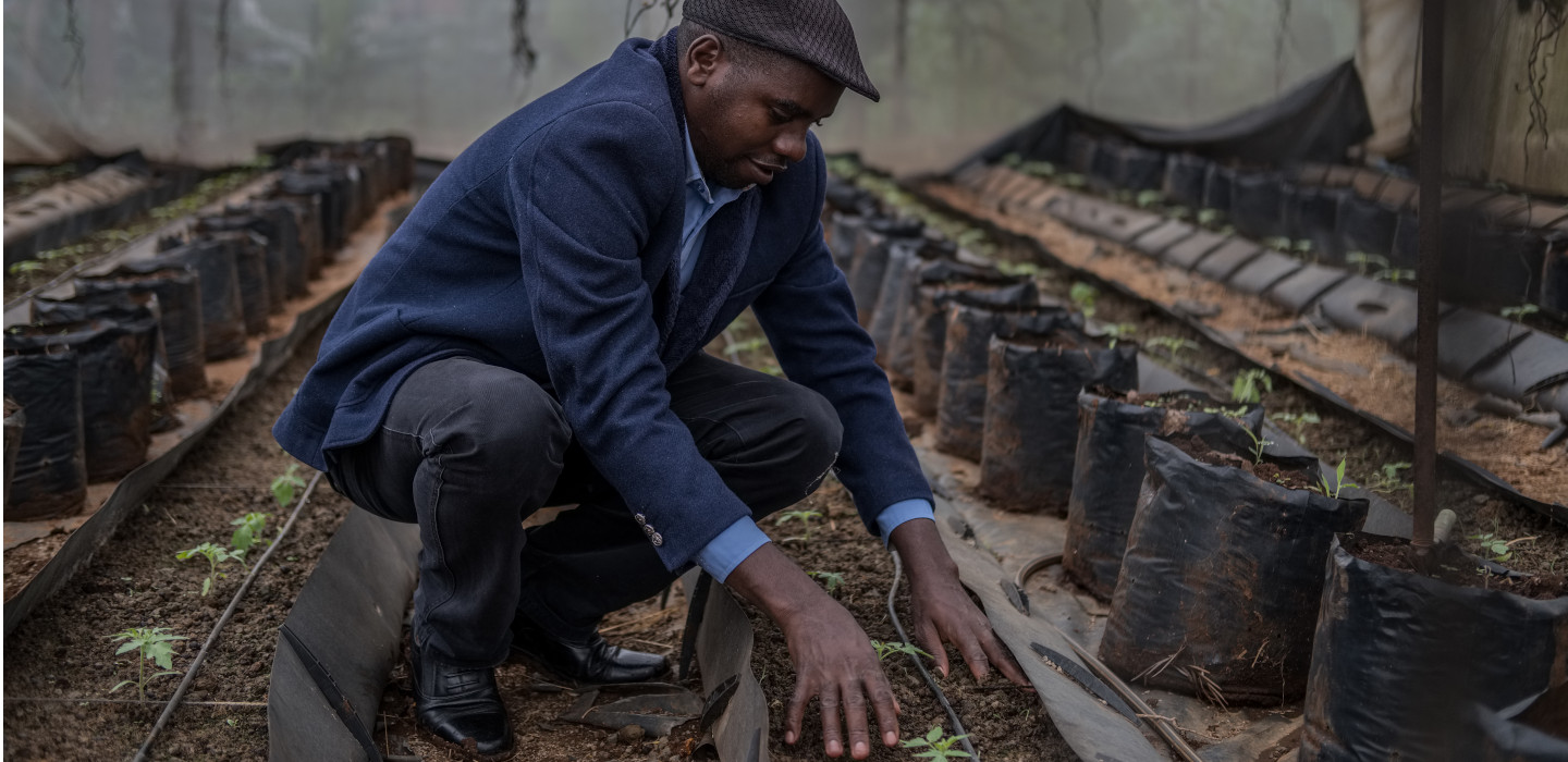 © IFAD/Edward Echwalu