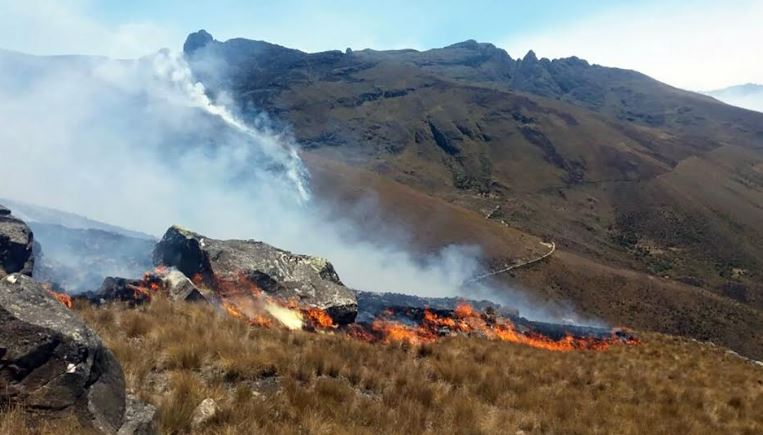 El año pasado se registraron 1571 alertas de incendios forestales. Foto: SERFOR