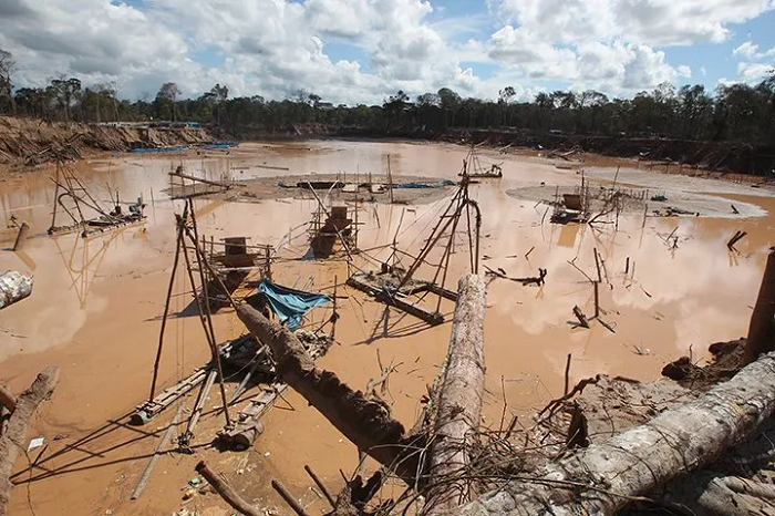 Auge de delitos ambientales en la Amazonía | Servindi - Servicios de ...