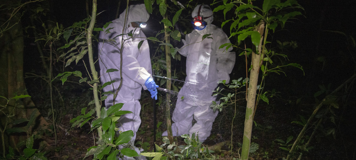 Investigadores de ébola en Sierra Leona. Foto: Laura Gil