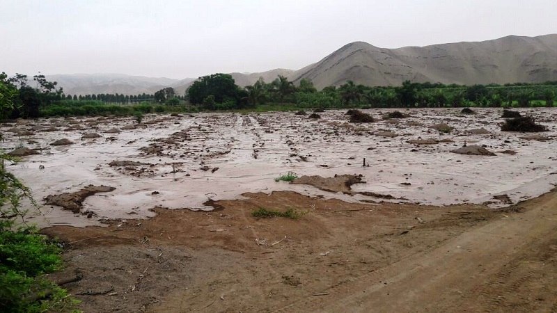 Miles de hectáreas cultivadas perdidas tras huaycos y desborde de río. Foto: Edwin Humareda