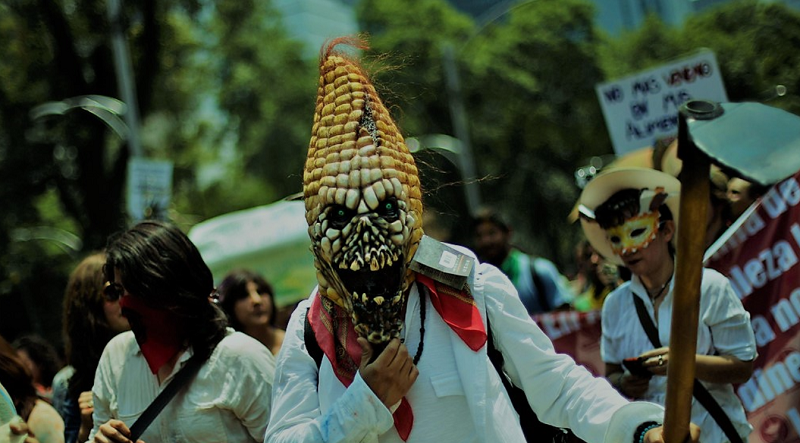 Foto: Alimentos y Poder