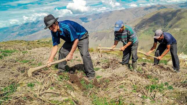 Foto: Ministerio de Desarrollo Agrario y Riego