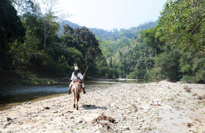 Foto de banner: es redactor de Mongabay. Encuéntrelo en Twitter: @johnccannon.