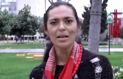 Foto; Captura de vídeo del IIDS.
