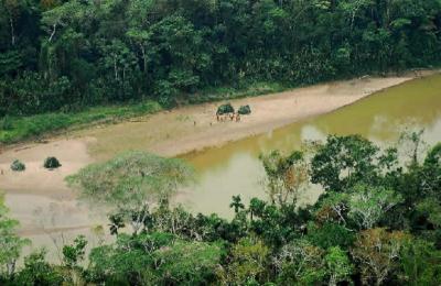 Foto: IBC Perú